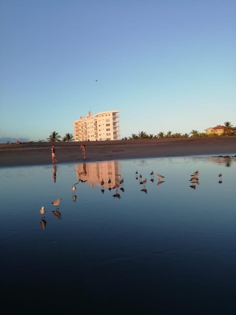 Playa La Barqueta , Las Olas Tower Front David Eksteriør billede